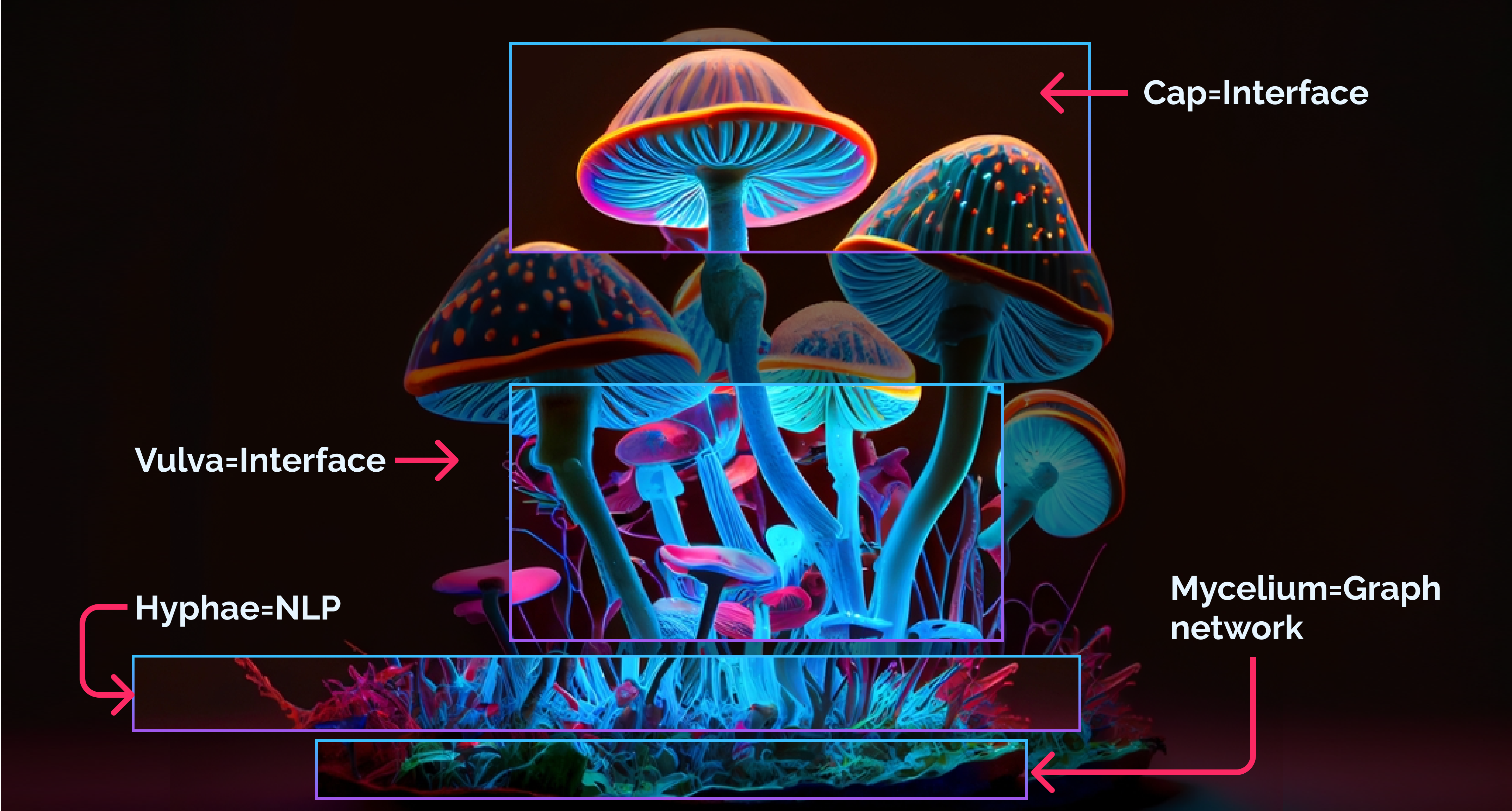 mycelium
